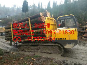 潍坊品牌木材运输车厂商——山东木材运输的可靠选择