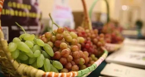 农产品区域品牌建设七大陷阱与销售突破策略